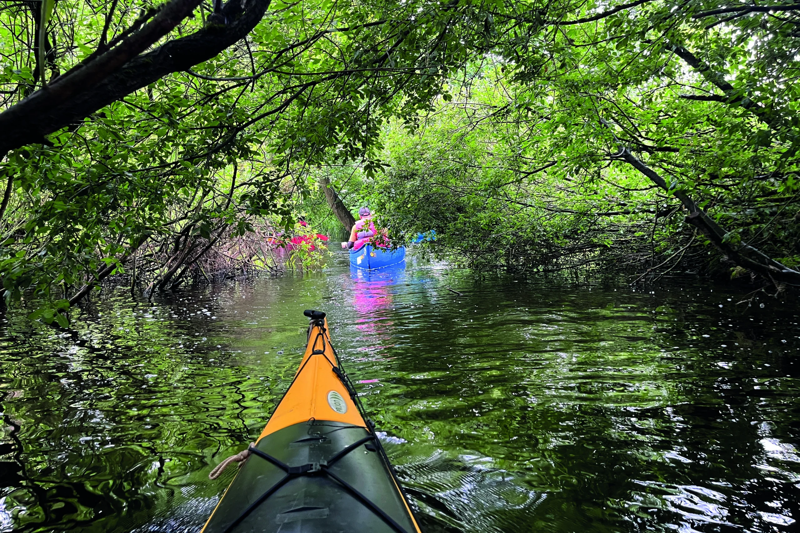 Kajaks und Kanadier paddeln durch die Schwaanhavel der Mecklenburgischen Seenplatte